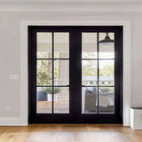 Aluminum Hinged Door